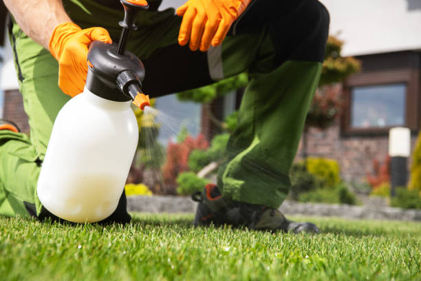 Professional Pest Control in Sweetwater, FL