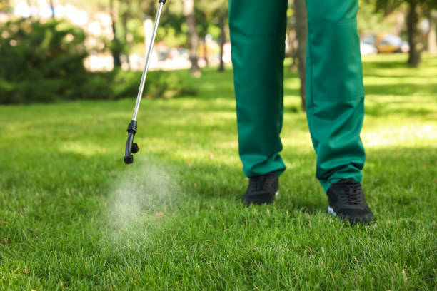 Professional Pest Control in Sweetwater, FL