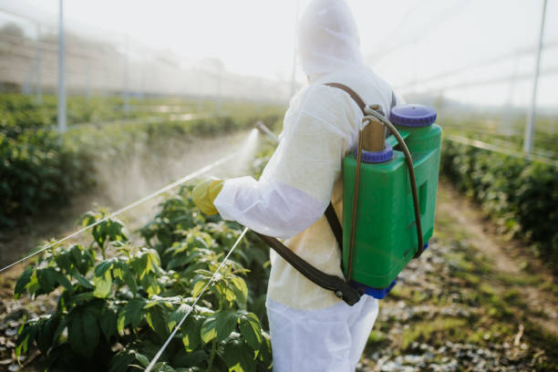 Best Mosquito Control Services  in Sweetwater, FL
